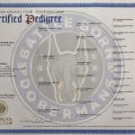 Zero Mali Mali Pedigree Certificate