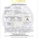 Galia_Certificate2